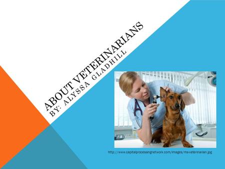 ABOUT VETERINARIANS BY: ALYSSA GLADHILL