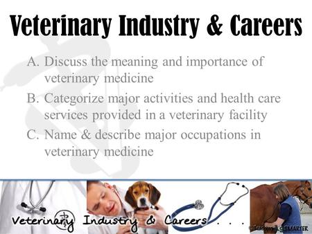 Veterinary Industry & Careers A.Discuss the meaning and importance of veterinary medicine B.Categorize major activities and health care services provided.