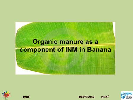 Organic manure as a component of INM in Banana. Introduction Organic manure as a component of INM in Banana The use of chemical fertilizer is increasing.