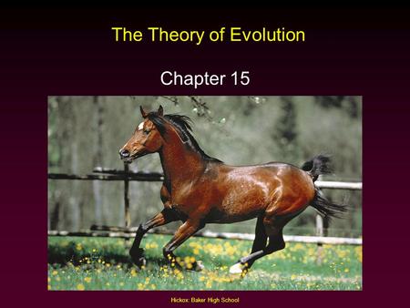 The Theory of Evolution Chapter 15 Hickox: Baker High School.