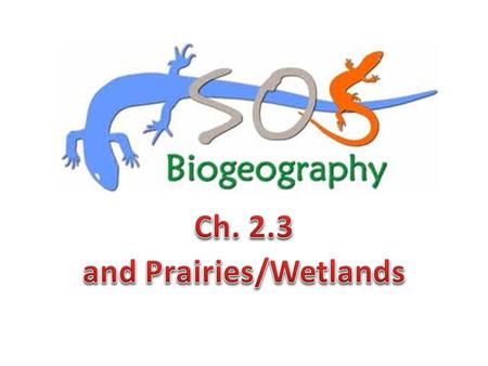 Bio = Life Geo = Earth Graphy = Description of ( a picture) A description of living things on Earth.