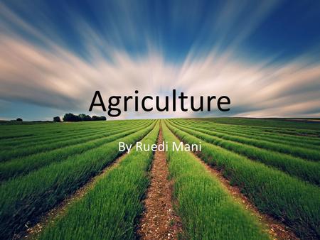 Agriculture By Ruedi Mani.