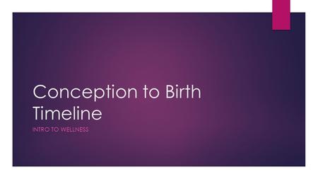 Conception to Birth Timeline