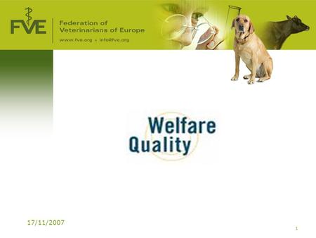 17/11/2007 1. 2 Welfare Quality® WhatWhat: EU project 6 th Framework (17 million €) PeriodPeriod: 2004-2009 PartnersPartners: 40 Institutes/Universities.