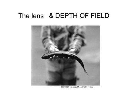 The lens Barbara Bosworth Salmon, 1994 & DEPTH OF FIELD.