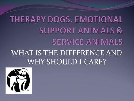 WHAT IS THE DIFFERENCE AND WHY SHOULD I CARE?. Overview: Assistance Animals 101 What are therapy dogs vs service dogs vs emotional support animals? What.