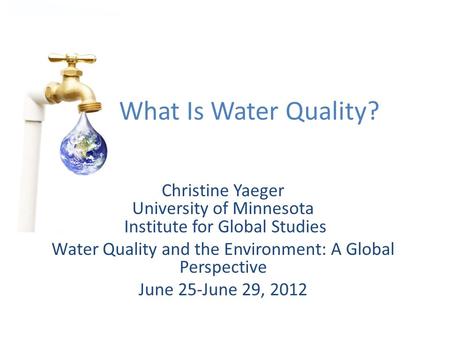 Christine Yaeger University of Minnesota Institute for Global Studies Water Quality and the Environment: A Global Perspective June 25-June 29, 2012 What.
