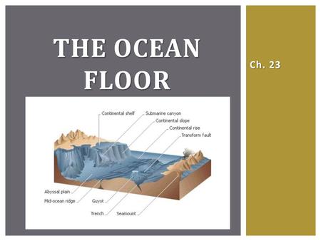 The Ocean Floor Ch. 23.