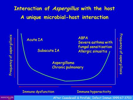 Interaction of Aspergillus with the host A unique microbial-host interaction Immune dysfunction Frequency of aspergillosis Immune hyperactivity Frequency.