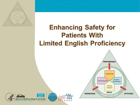 Enhancing Safety for Patients With Limited English Proficiency