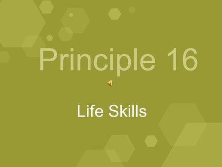 Principle 16 Life Skills. January, 2009 A model Division II athletics program shall be committed to the total development of a student-athlete’s life.