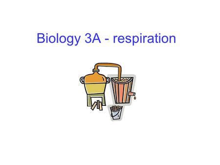 Biology 3A - respiration