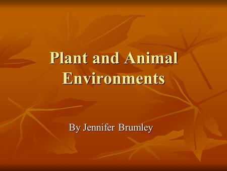 Plant and Animal Environments By Jennifer Brumley.