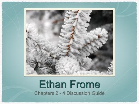 Ethan Frome Chapters 2 - 4 Discussion Guide. Chapter 2.