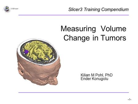 Pohl K, Konukoglu E -1- National Alliance for Medical Image Computing Measuring Volume Change in Tumors Kilian M Pohl, PhD Ender Konugolu Slicer3 Training.