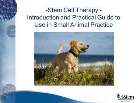 -Stem Cell Therapy - Introduction and Practical Guide to Use in Small Animal Practice This is an introductory slide set intended to be used by Vet-Stem.