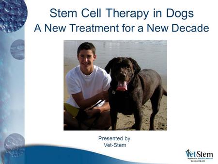 Stem Cell Therapy in Dogs A New Treatment for a New Decade Presented by Vet-Stem 6650-0019-001.