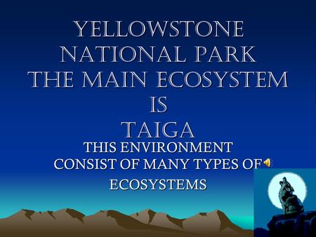 YELLOWSTONE NATIONAL PARK THE MAIN ECOSYSTEM IS TAIGA THIS ENVIRONMENT CONSIST OF MANY TYPES OF ECOSYSTEMS.