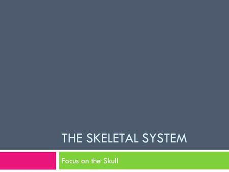 The Skeletal System Focus on the Skull.