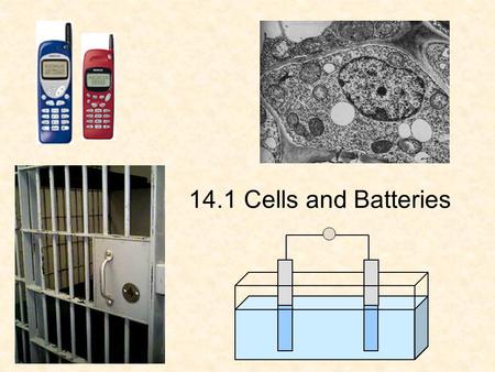 14.1 Cells and Batteries. Origins of the Cell Galvani (late 1700’s) observed a frog’s leg twitch when exposed to a current Volta (early 1800’s) realized.