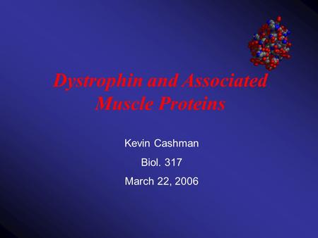 Dystrophin and Associated Muscle Proteins Kevin Cashman Biol. 317 March 22, 2006.