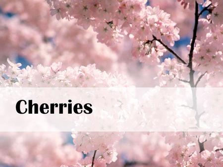 Cherries. Cherry Facts WI ranks #4 Cherries grow on trees There are cherry orchards Takes 4-5 years before a tree can produce enough cherries for harvest.