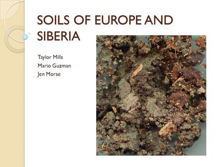 SOILS OF EUROPE AND SIBERIA Taylor Mills Mario Guzman Jen Morse.