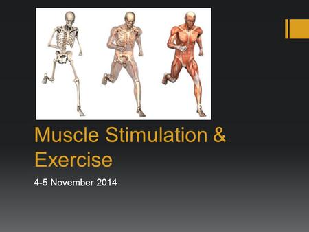 Muscle Stimulation & Exercise