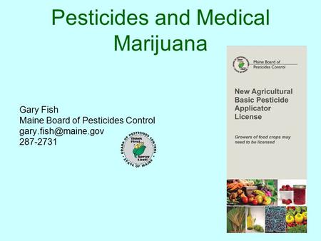 Pesticides and Medical Marijuana Gary Fish Maine Board of Pesticides Control 287-2731.