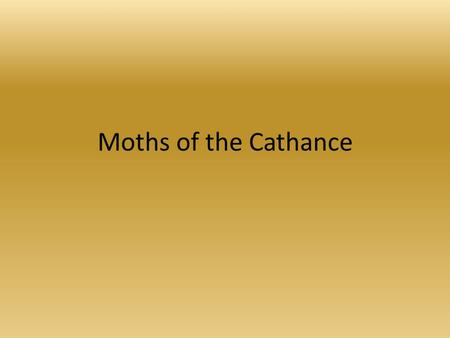 Moths of the Cathance. Maine Forestry Service CREA is a participant in a Maine Forestry Service study of invasive moth species. All species in this.