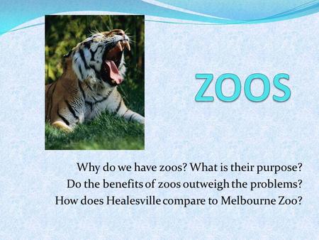 Why do we have zoos? What is their purpose? Do the benefits of zoos outweigh the problems? How does Healesville compare to Melbourne Zoo?
