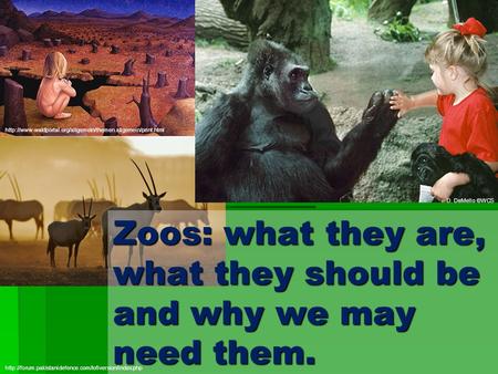 Zoos: what they are, what they.
