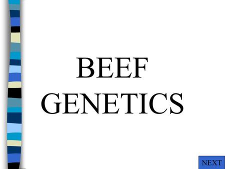 BEEF GENETICS NEXT What color are Shorthorns? n A. White n B. Red n C. Roan n D. All the above A B C D NEXT.