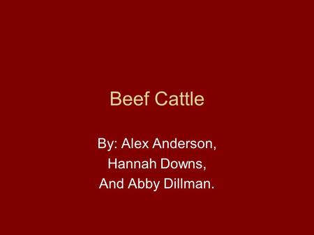 Beef Cattle By: Alex Anderson, Hannah Downs, And Abby Dillman.