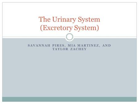 SAVANNAH PIRES, MIA MARTINEZ, AND TAYLOR ZACHEY The Urinary System (Excretory System)