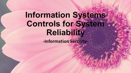 Information Systems Controls for System Reliability -Information Security-