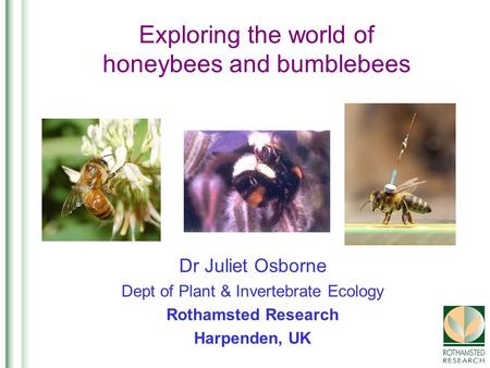 Exploring the world of honeybees and bumblebees Dr Juliet Osborne Dept of Plant & Invertebrate Ecology Rothamsted Research Harpenden, UK.