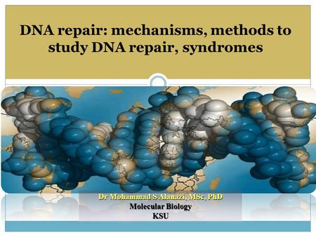 Dr Mohammad S Alanazi, MSc, PhD Molecular Biology KSU DNA repair: mechanisms, methods to study DNA repair, syndromes.