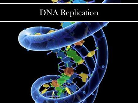 DNA Replication. https://www.inkling.com/read/anatomy-and-physiology-kenneth-saladin-6th/chapter- 4/dna-replication-and-the-cell.