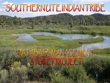 WHY THE NEED FOR DATABASE MANAGEMENT? Seven major rivers cross the reservation –24 Established sampling sites –12+ years accumulated water quality.