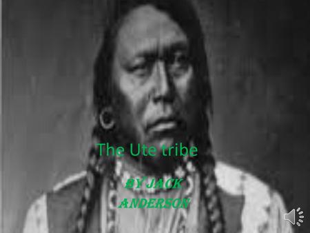 The Ute tribe By jack anderson Table of contents Slide one cover Slide two table of contents Slide three tribe traditions Slide four what did they eat.