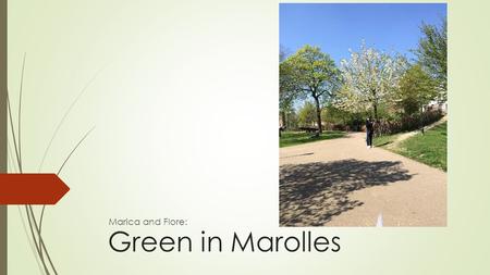 Green in Marolles Marica and Flore:. The Marolles.