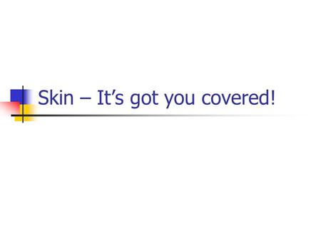 Skin – It’s got you covered!. Skin Care – It’s an Inside Job.