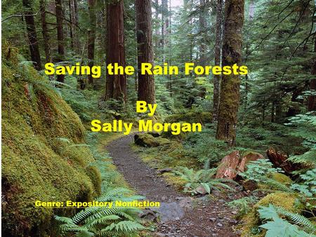 Saving the Rain Forests