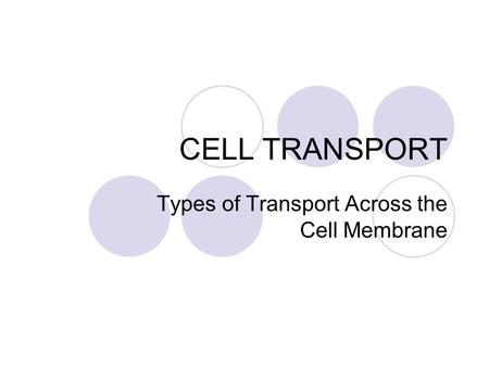 Types of Transport Across the Cell Membrane