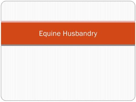 Equine Husbandry. Materials Feed and water Hoof care supplies Bedding Bathing and grooming supplies Environmental Enrichment Devices.