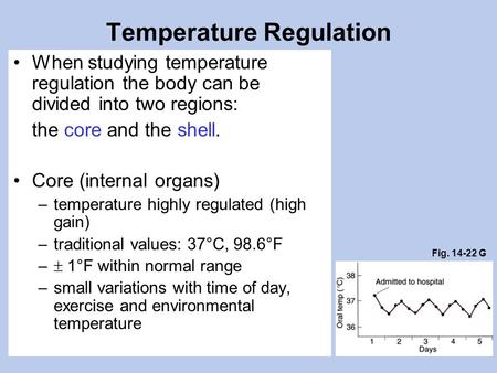 Temperature Regulation When studying temperature regulation the body can be divided into two regions: the core and the shell. Core (internal organs) –temperature.