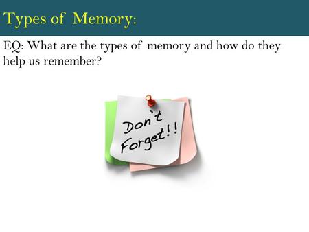 Types of Memory: EQ: What are the types of memory and how do they help us remember?