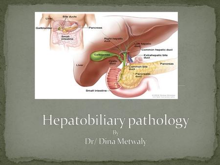 Hepatobiliary pathology By Dr/ Dina Metwaly