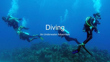 An Underwater Adventure